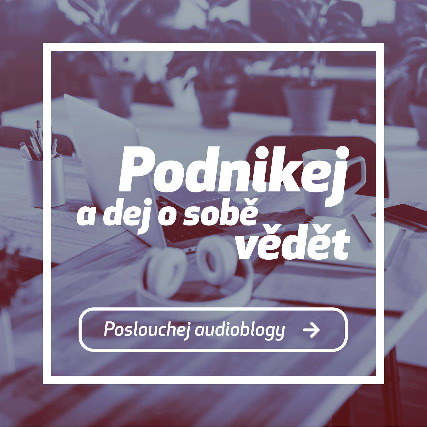 Podnikej a dej o sobě vědět