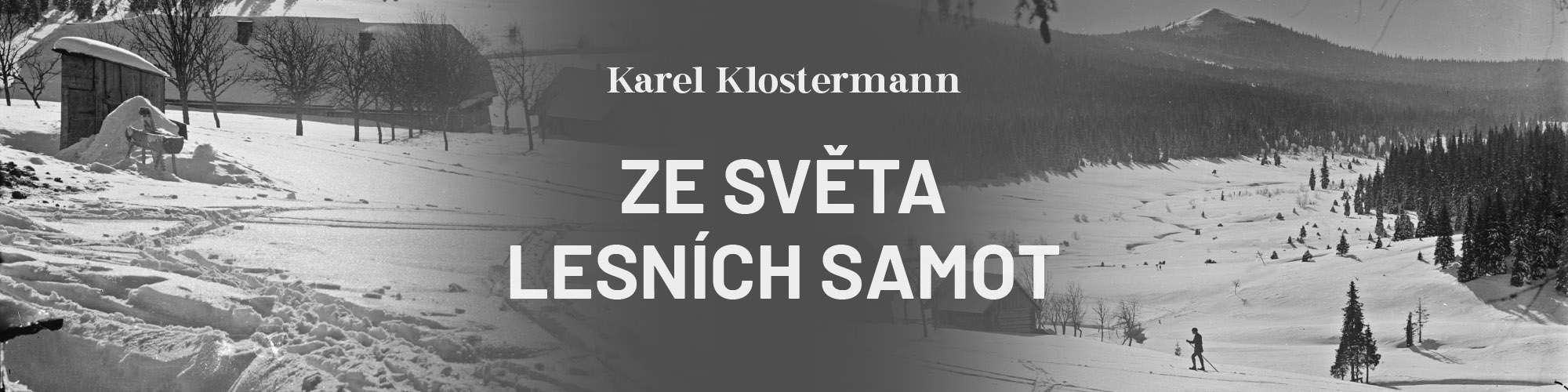 Ze sveta lesnich samot