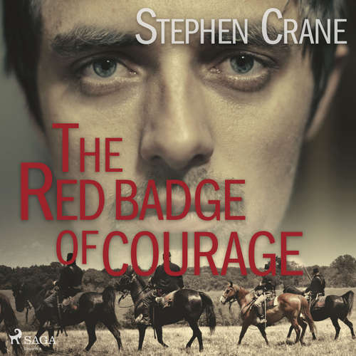 Audiobook The Red Badge of Courage (EN) - Stephen Crane - Mike Vendetti