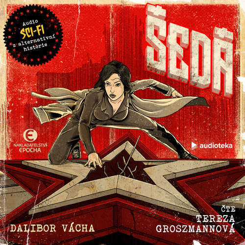Audiokniha Šedá - Dalibor Vácha - Tereza Groszmannová