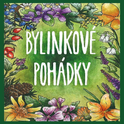 Audiokniha Bylinkové pohádky - L. a V. Hanusovi - Lucie Sobotková