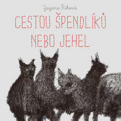 Audiokniha Cestou špendlíků nebo jehel - Zuzana Říhová - Jana Štvrtecká