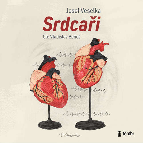 Audiokniha Srdcaři - Josef Veselka - Vladislav Beneš