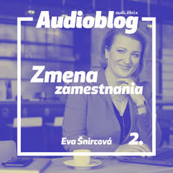 Audiokniha Zmena zamestnania – Hľadanie stratenej radosti - Eva Šnircová - Simona Lučkaničová