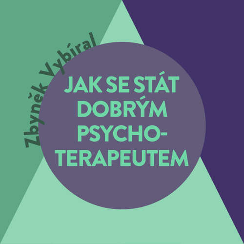 Audiokniha Jak se stát dobrým psychoterapeutem - Zbyněk Vybíral - Tomáš Voženílek
