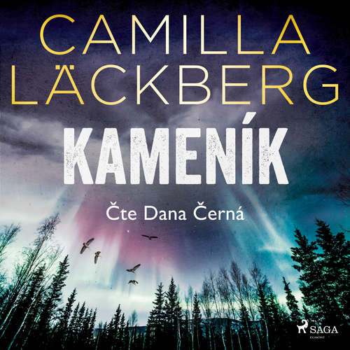 Audiokniha Kameník - Camilla Läckberg - Dana Černá