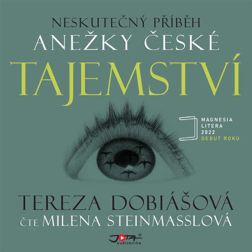 Audiokniha Tajemství - Tereza Dobiášová - Milena Steinmasslová