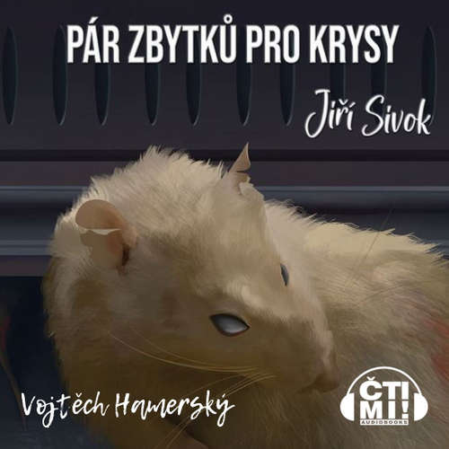 Audiokniha Pár zbytků pro krysy - Jiří Sivok - Vojtěch Hamerský