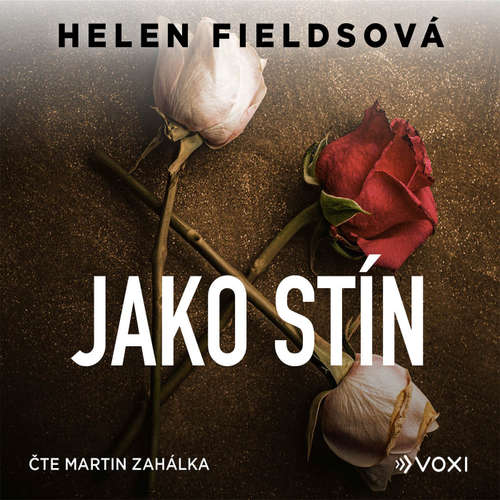 Audiokniha Jako stín - Helen Fieldsová - Martin Zahálka