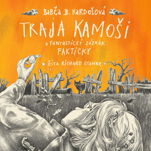 Audiokniha Traja kamoši a fantastický zázrak - Barbora Kardošová - Richard Stanke