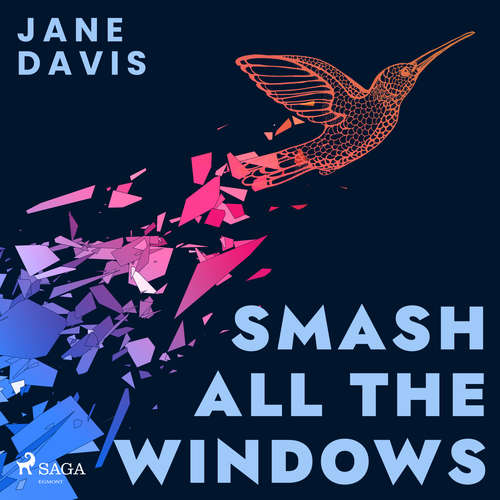 Audiobook Smash All the Windows (EN) - Jane Davis - Emily Pennant-Rea