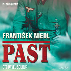 Audiokniha Past - František Niedl - Pavel Soukup
