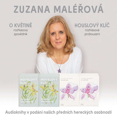 Audiokniha O květině & Houslový klíč - Zuzana Maléřová - Josef Somr