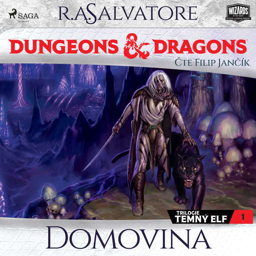 Audiokniha Temný elf 1: Domovina - R. A. Salvatore - Filip Jančík