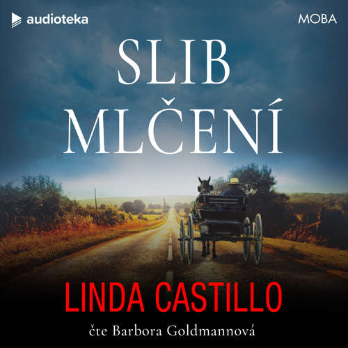 Audiokniha Slib mlčení - Linda Castillo - Barbora Goldmannová