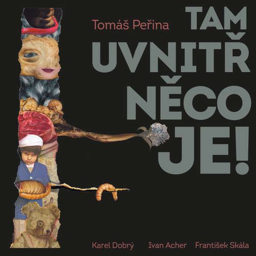 Audiokniha Tam uvnitř něco je - Tomáš Peřina - Karel Dobrý