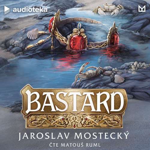 Audiokniha Bastard - Jaroslav Mostecký - Matouš Ruml
