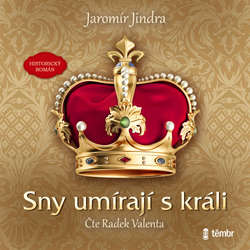Audiokniha Sny umírají s králi - Jaromír Jindra - Radek Valenta