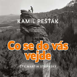 Audiokniha Co se do vás vejde - Kamil Pešťák - Martin Stránský