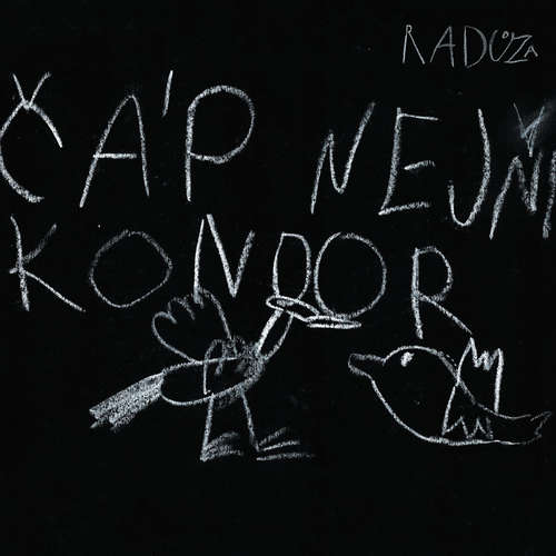 Audiokniha Čáp nejni kondor - Radůza - Radůza