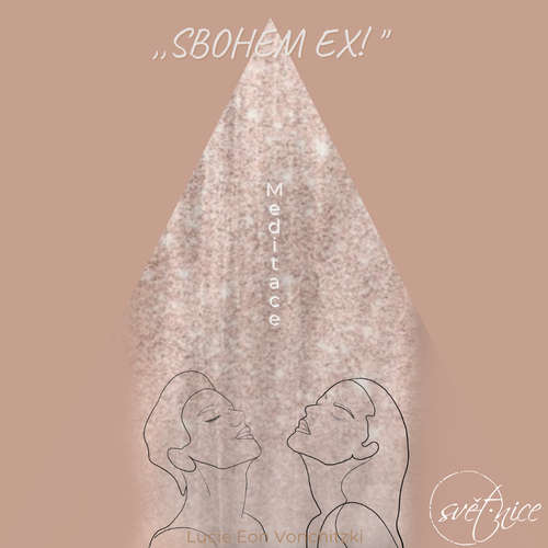 Audiokniha Sbohem ex - Lucie Vonchitzki - Lucie Vonchitzki