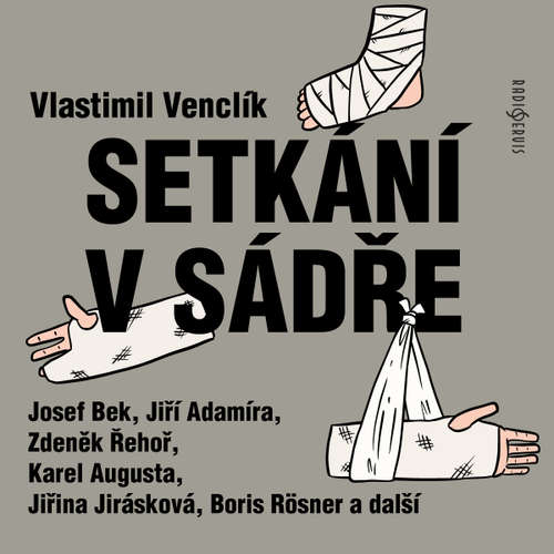 Audiokniha Setkání v sádře - Vlastimil Venclík - Karel Augusta