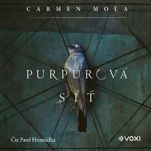 Audiokniha Purpurová síť - Carmen Mola - Pavel Hromádka
