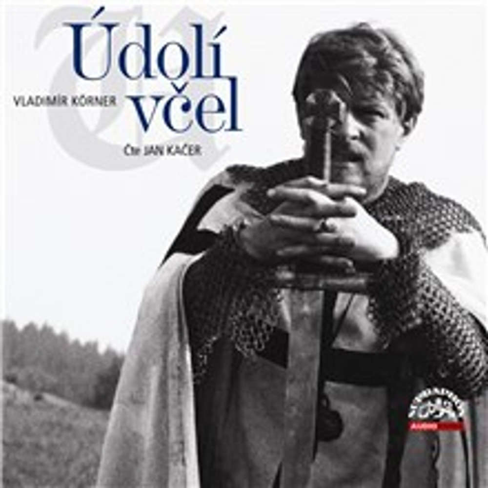 Obal audioknihy Údolí včel