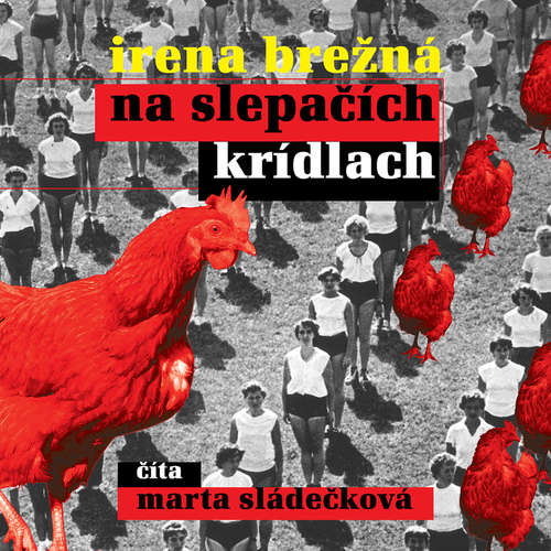 Audiokniha Na slepačích krídlach - Irena Brežná - Marta Sládečková