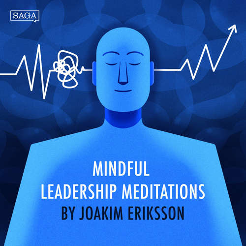 Audiobook Reframing Stress (EN) - Joakim Eriksson - Joakim Eriksson
