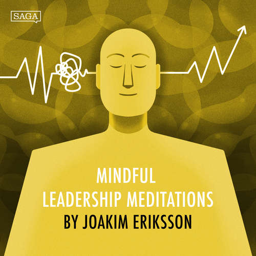 Audiobook Connecting to the Bigger Picture (EN) - Joakim Eriksson - Joakim Eriksson