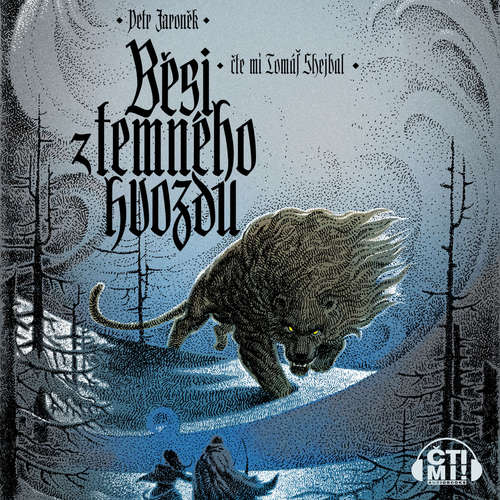 Audiokniha Běsi z temného hvozdu - Petr Jaroněk - Tomáš Shejbal