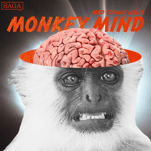 Audiobook Monkey Mind (EN) - Sophus Helle - Sophus Helle