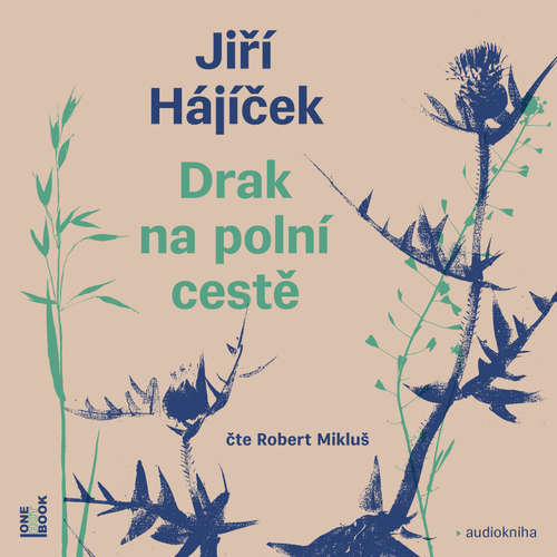 Audiokniha Drak na polní cestě - Jiří Hájíček - Robert Mikluš