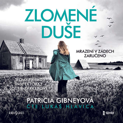 Audiokniha Zlomené duše - Patricia Gibneyová - Lukáš Hlavica