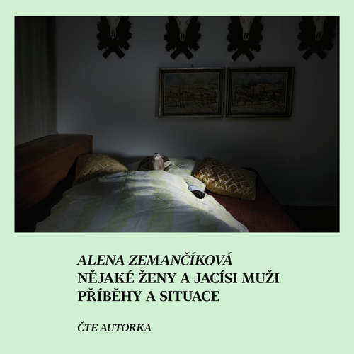 Nějaké ženy a jacísi muži - Alena Zemančíková