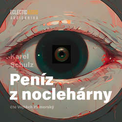 Audiokniha Peníz z noclehárny - Karel Schulz - Vojtěch Hamerský