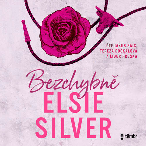 Audiokniha Bezchybně - Elsie Silver - Jakub Saic