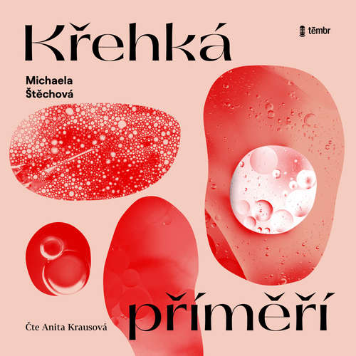Audiokniha Křehká příměří - Michaela Štěchová - Anita Krausová