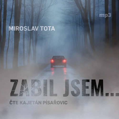 Audiokniha Zabil jsem… - Miroslav Tota - Kajetán Písařovic