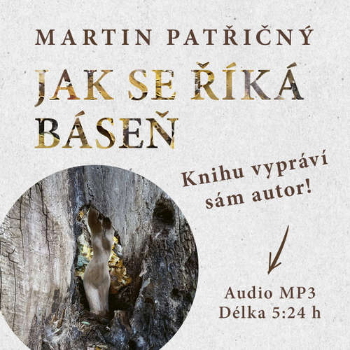 Audiokniha Jak se říká báseň - Martin Patřičný - Martin  Patřičný