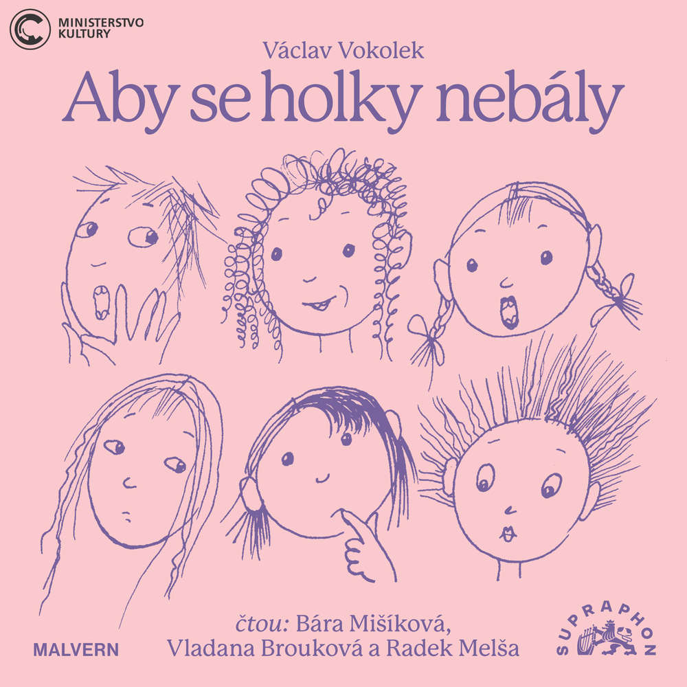 Audiokniha Aby se holky nebály - Václav Vokolek - Radek Melša