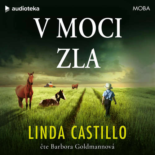 Audiokniha V moci zla - Linda Castillo - Barbora Goldmannová