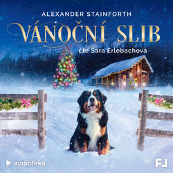 Audiokniha Vánoční slib - Alexander Stainforth - Sára Erlebachová