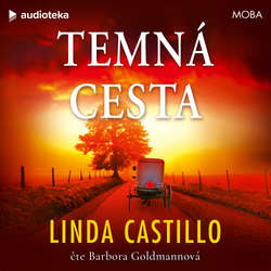 Audiokniha Temná cesta - Linda Castillo - Barbora Goldmannová