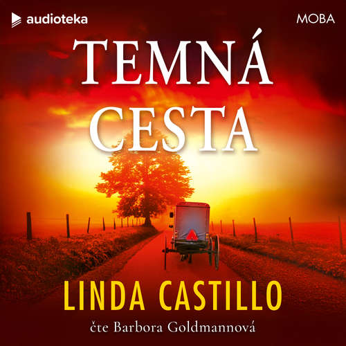 Audiokniha Temná cesta - Linda Castillo - Barbora Goldmannová