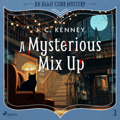 A Mysterious Mix Up (EN) - J. C. Kenney