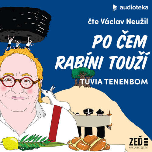 Po čem rabíni touží - Tuvia Tenenbom