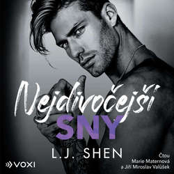 Audiokniha Nejdivočejší sny - L. J. Shen - Marie Maternová