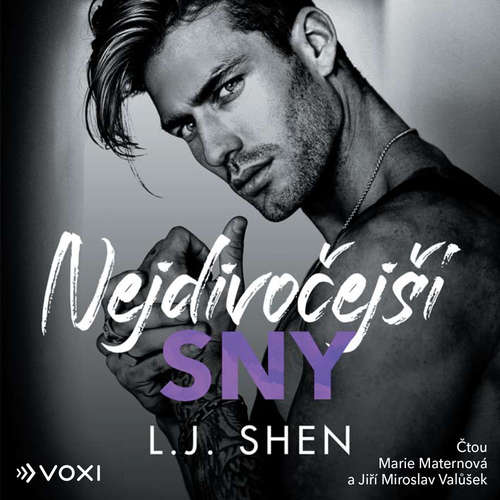 Audiokniha Nejdivočejší sny - L. J. Shen - Marie Maternová